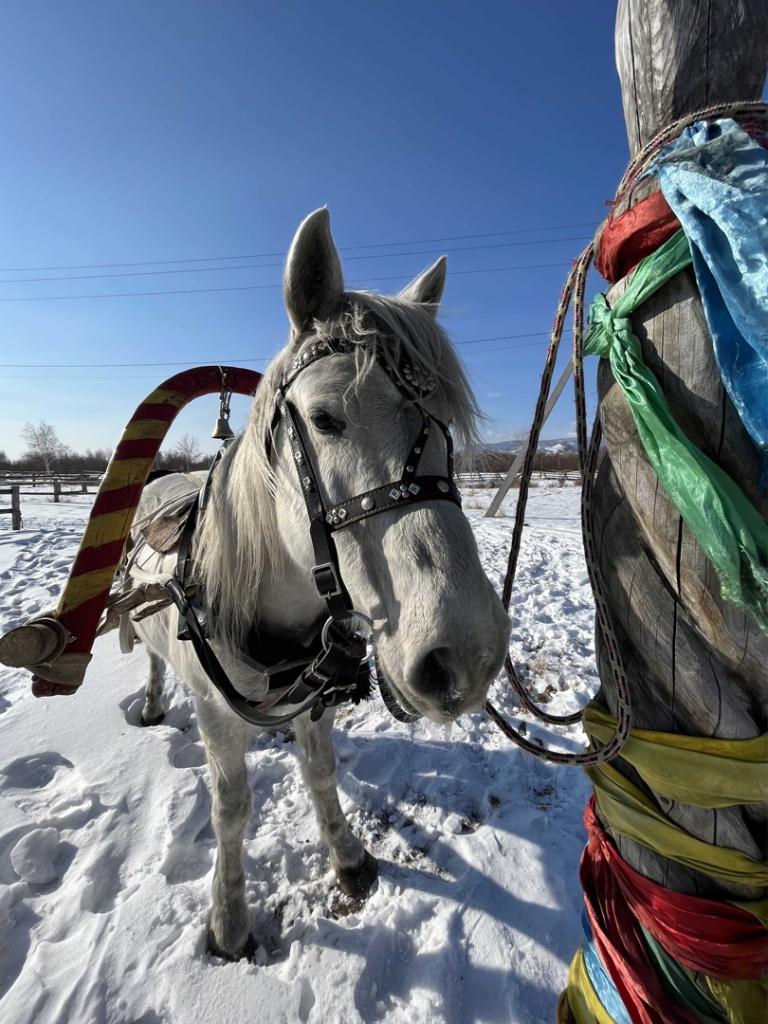 F9egBi-k4-I.jpg F9egBi-k4-I.jpg