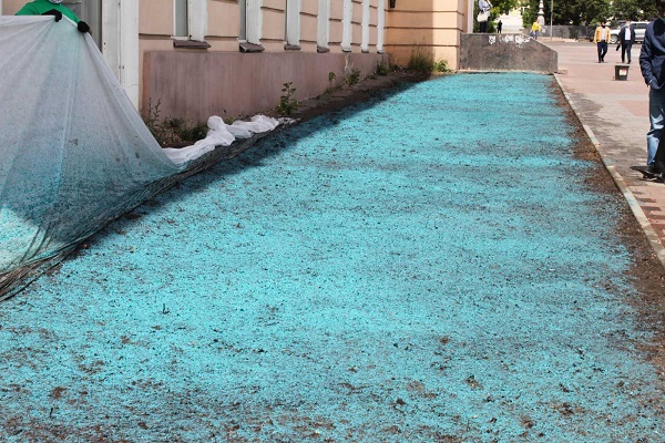 изображение_viber_2020-06-10_17-25-03.jpg изображение_viber_2020-06-10_17-25-03.jpg