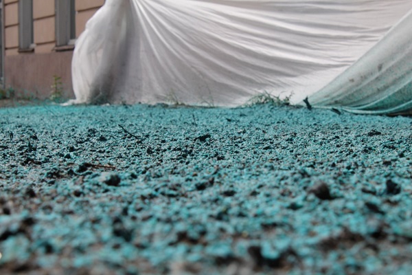 изображение_viber_2020-06-10_17-24-55.jpg изображение_viber_2020-06-10_17-24-55.jpg