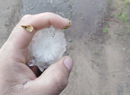 image418e42f6c6989927e1e6b8c98f910506-V.jpg image418e42f6c6989927e1e6b8c98f910506-V.jpg