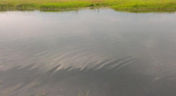 В Улан-Удэ из-за высокого уровня воды в Селенге подтопило 34 земельных участка