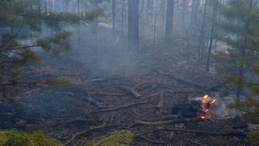 Более 200 человек тушили 18 пожаров в лесах Бурятии в эти сутки 