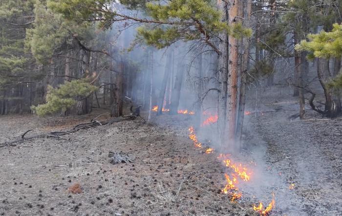 В Муйском районе Бурятии ввели режим ЧС из-за лесных пожаров