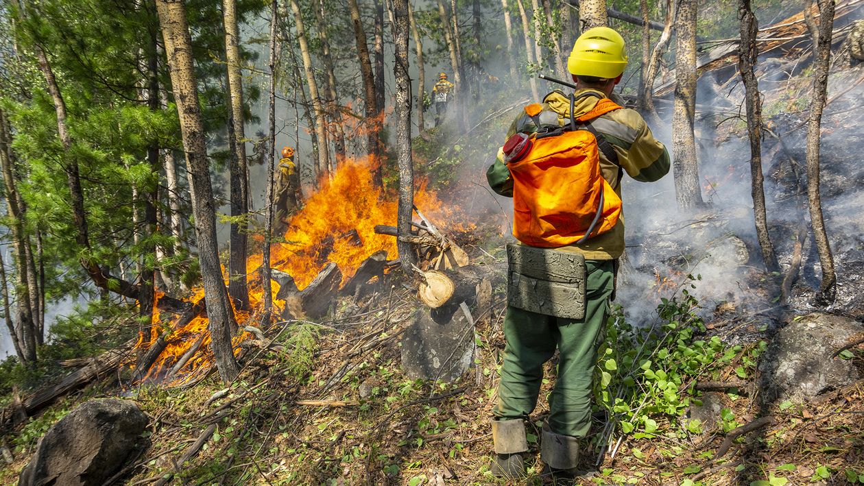 Авиалесоохрана Бурятии помогает тушить лесопожарный треугольник в регионах ДФО