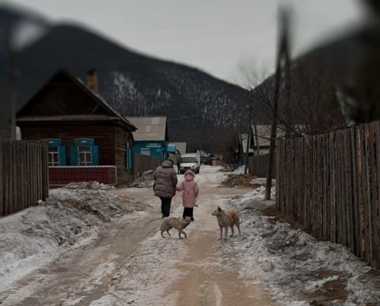 В Баргузинском районе Бурятии собаки на самовыгуле продолжают нападать на детей