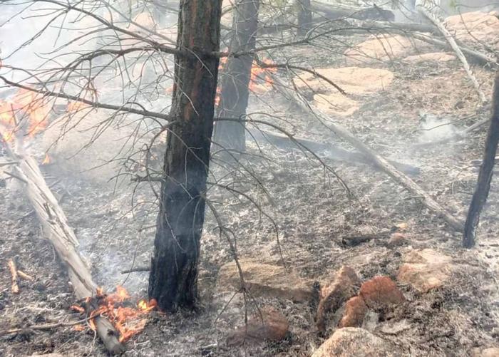 Два лесных пожара тушат в Бурятии