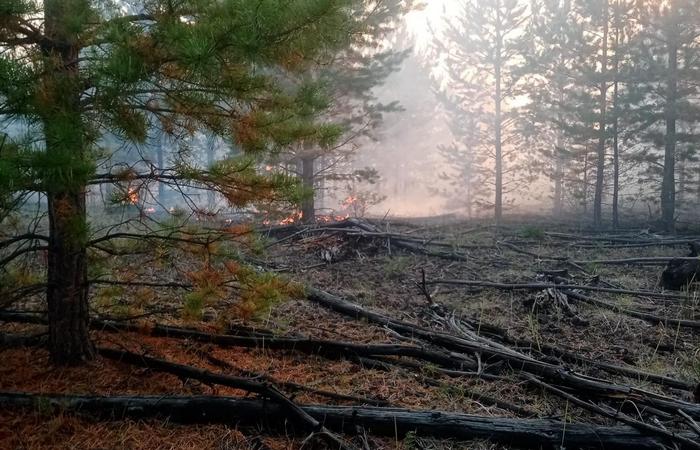 В Курумканском районе Бурятии локализовали крупный пожар