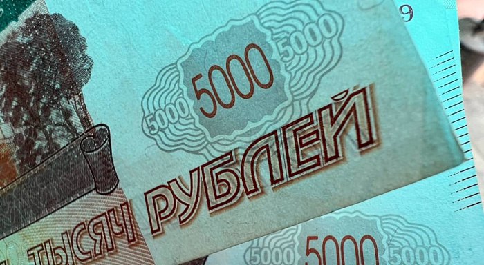 В Улан-Удэ предпринимательницу отправили в колонию за хищение 14 миллионов рублей