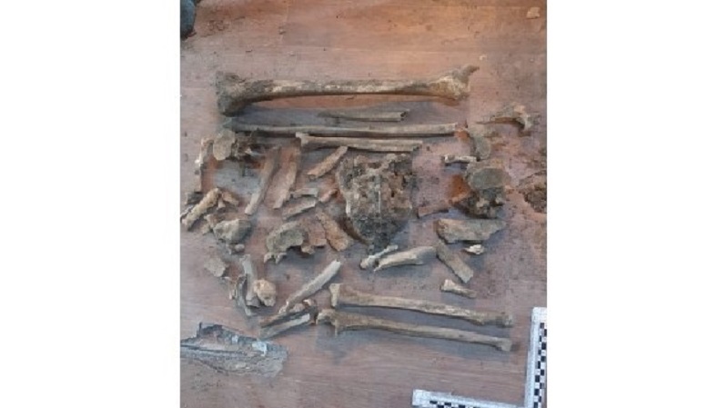 В Улан-Удэ во время ремонта в квартире нашли скелет