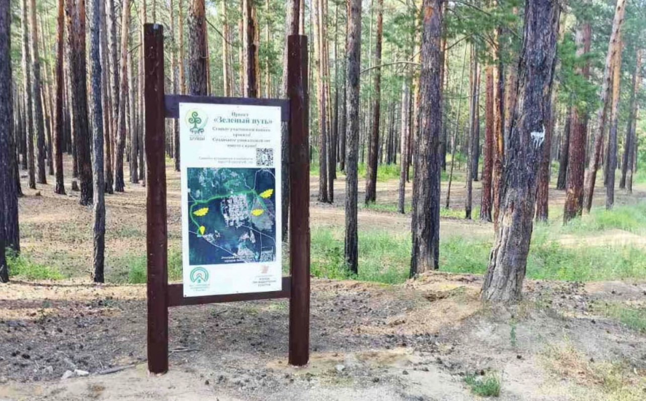 В Улан-Удэ появится необычный лес