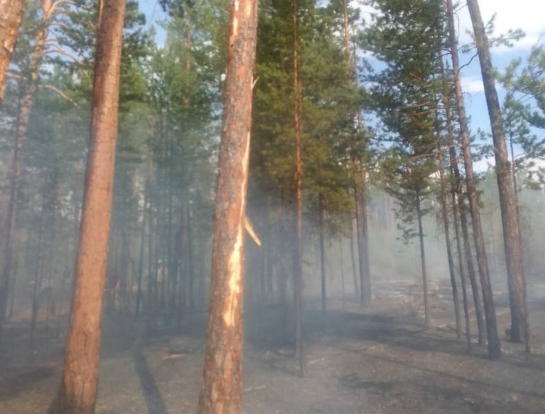 Шесть лесных пожаров потушили за сутки в Бурятии
