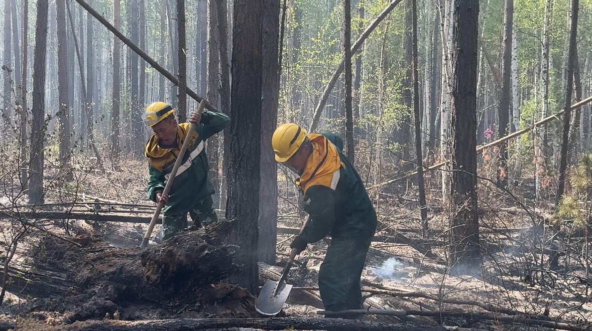 В Бурятии за сутки обнаружили 5 лесных пожаров