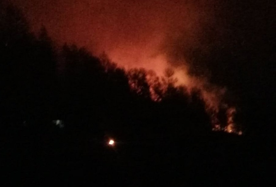 В Бурятии на сегодня действует семь лесных пожаров