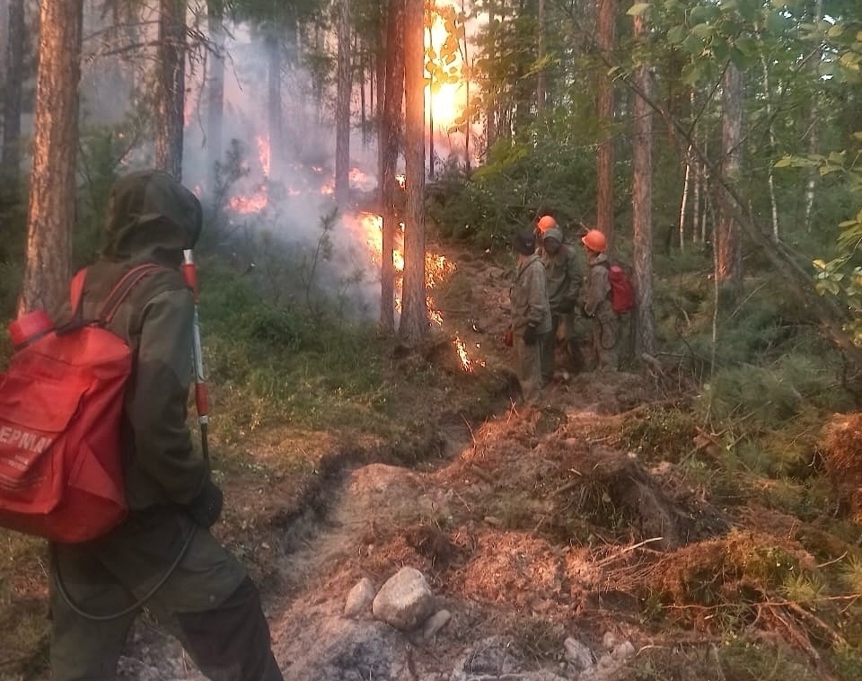 Более 300 человек сражаются с огнем в лесах Бурятии