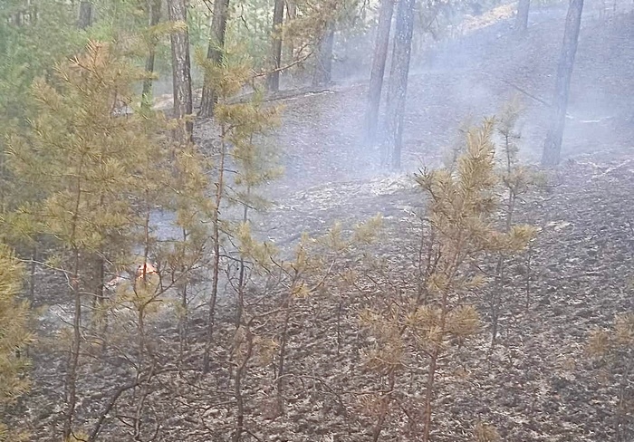 В Бурятии продолжают тушить лесные пожары в условиях режима ЧС