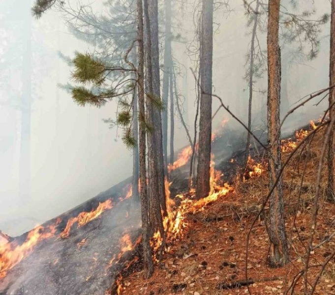 Пётр Мордовской о лесных пожарах: «Под угрозой не только лес, но и сёла»