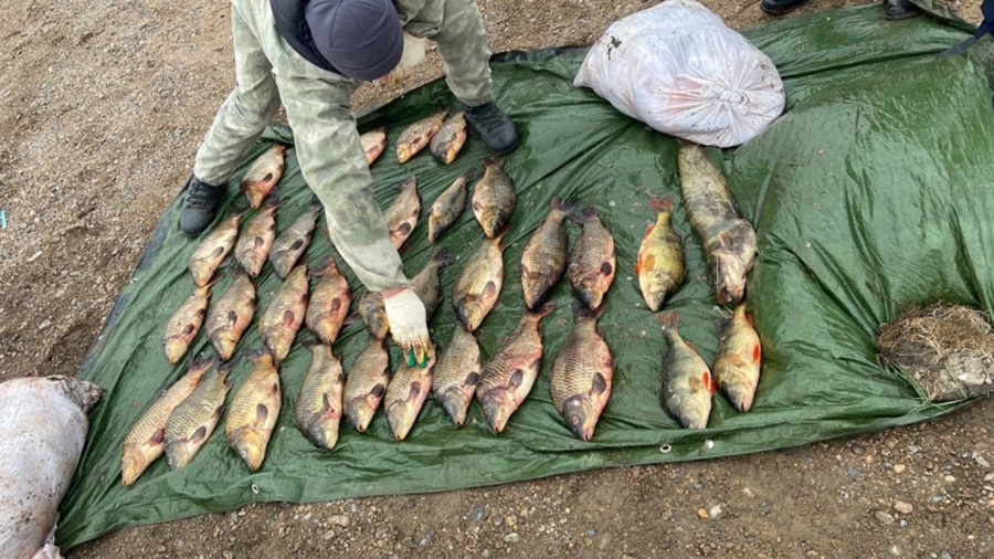 Житель Бурятии незаконно наловил три мешка рыбы, но на берегу был задержан