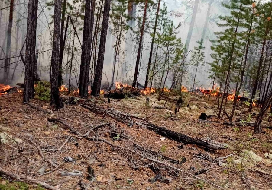 В Бурятии продолжают тушить сложный лесной пожар, который перешел из Забайкалья