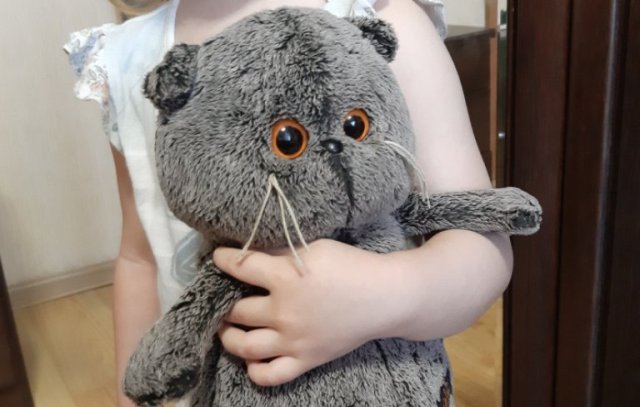 В Бурятии 7-летняя девочка перевела мошенникам 60 тысяч рублей 