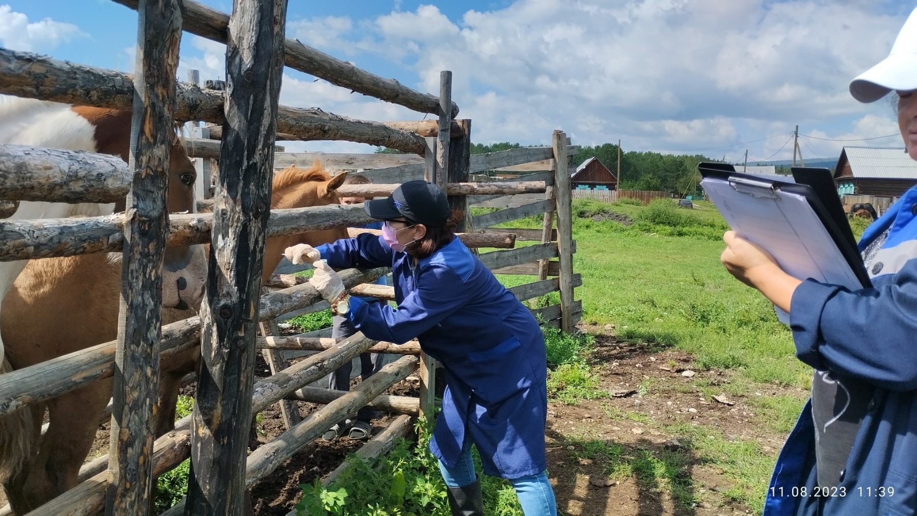 Более 1,5 тысячи животных вакцинировали от бешенства в неблагополучном селе Бурятии