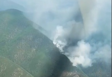 Три лесных пожара обнаружили за сутки в Бурятии