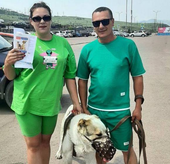 В Улан-Удэ бездомных собак забирают новые владельцы