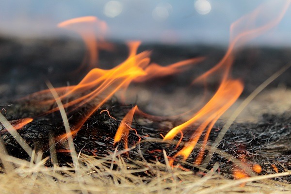Жительницу Бурятии оштрафовали за сжигание травы у дома