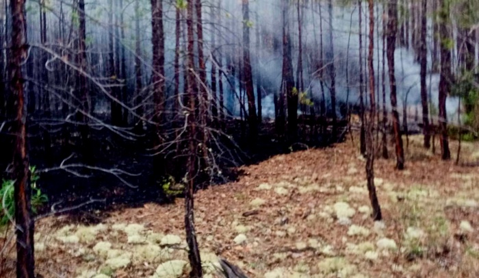 В Бурятии тушат более 50 лесных пожаров