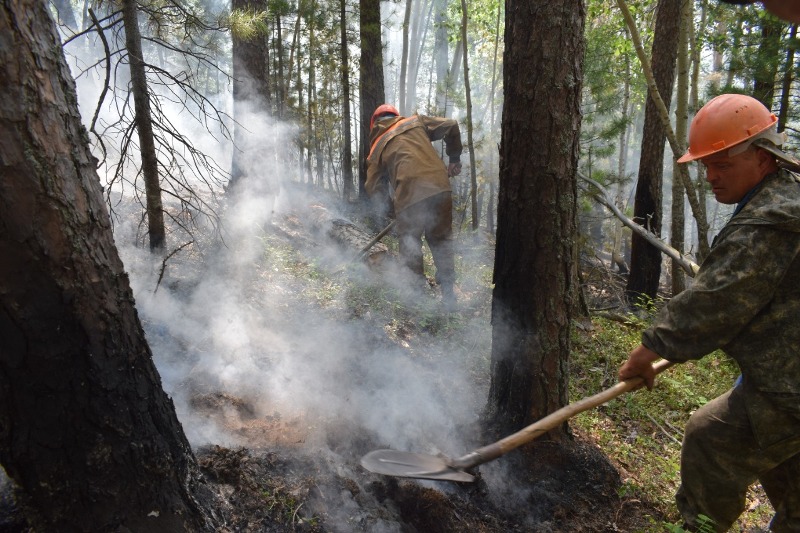 В Бурятии за сутки возникло 16 лесных пожаров