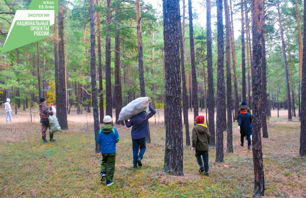 В Бурятии дети и лесники очистили лес от мусора