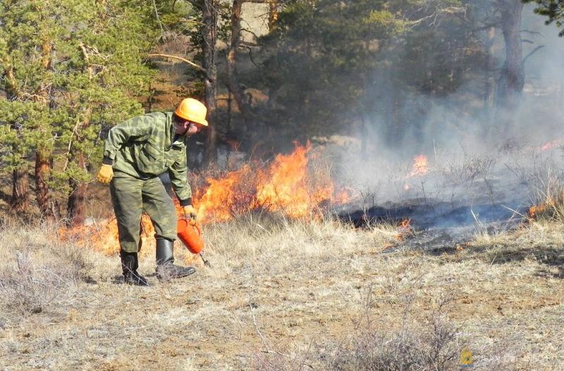 Два раза горел лес за пожароопасный период в Улан-Удэ