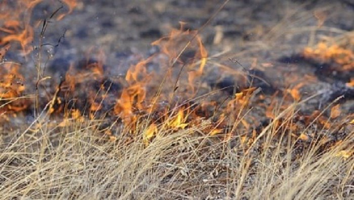 Высокий класс пожарной опасности объявлен в восьми районах Бурятии