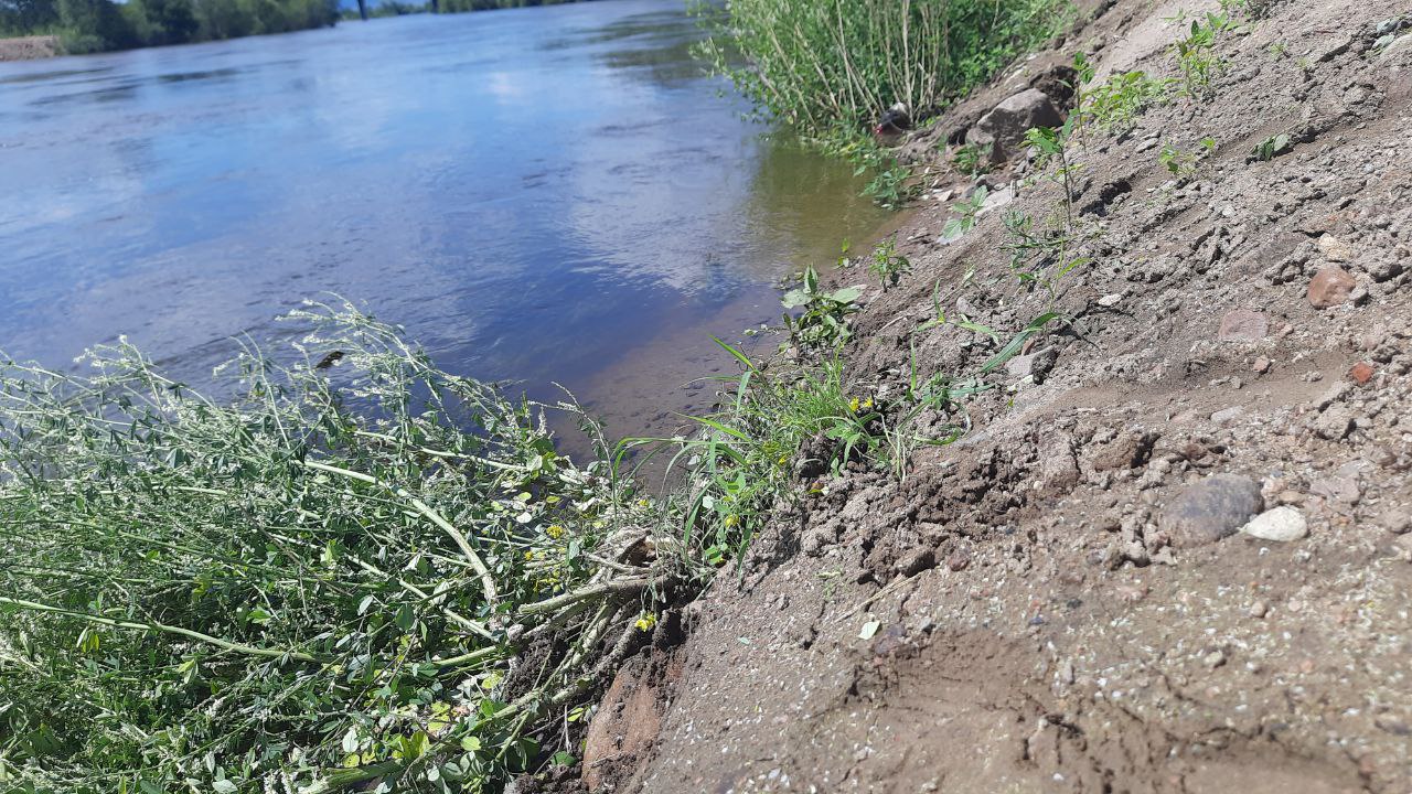  Вода в Селенге в Улан-Удэ за сутки упала на 8 сантиметров 