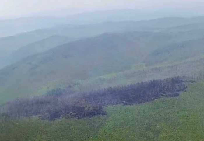 Более 500 человек тушат лесные пожары в Бурятии