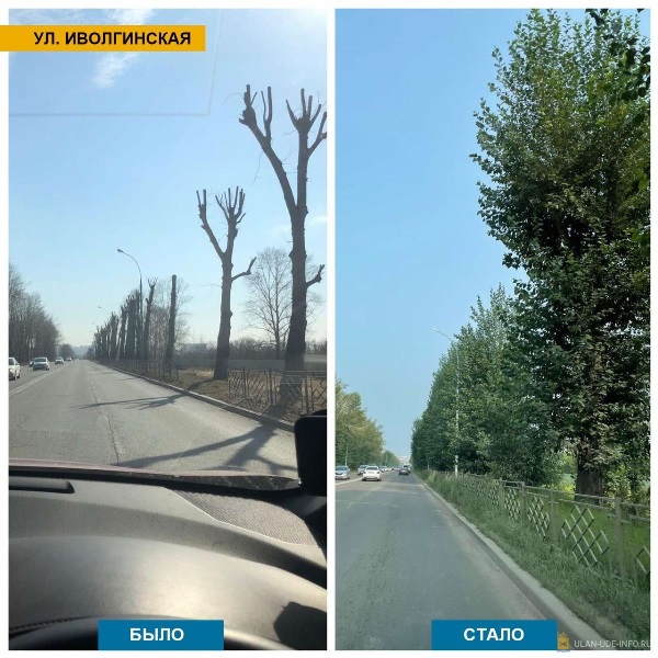 В Улан-Удэ деревья перестали падать на людей и автомобили