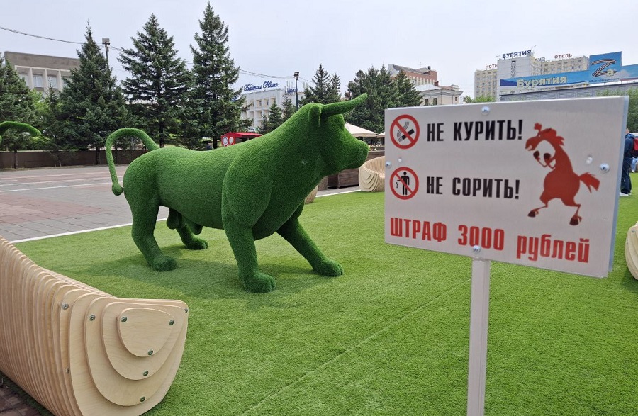 На площади Советов в Улан-Удэ будет дежурить ЧОП