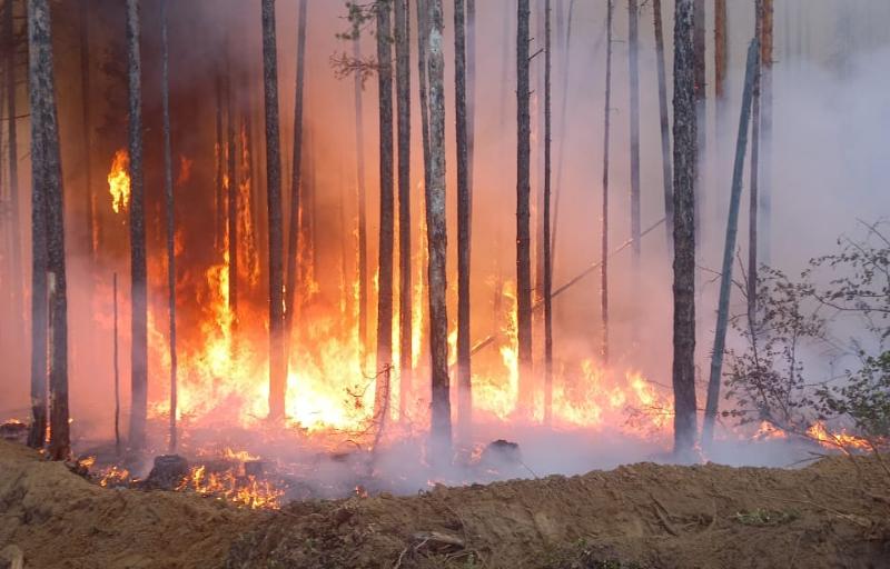 85 человек тушило два грозовых пожара в лесах Бурятии