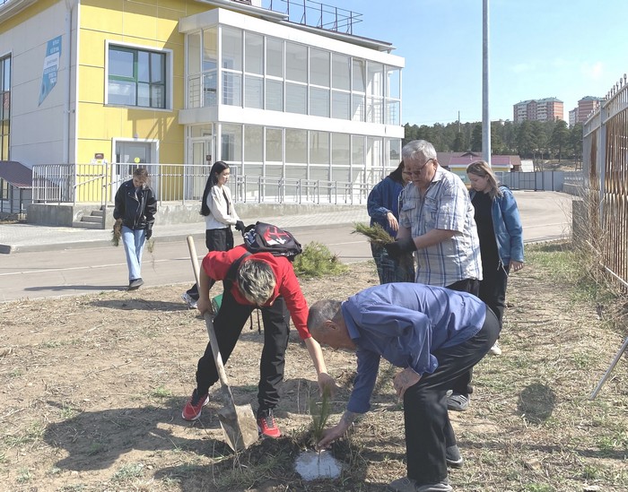 Студенты посадили сосны в улан-удэнском пансионате 
