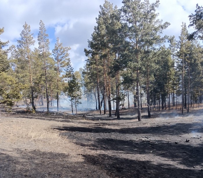 Лесной пожар потушили в Бурятии