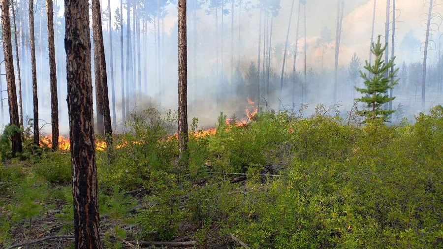 В Бурятии тушили лесной пожар в Заиграевском районе