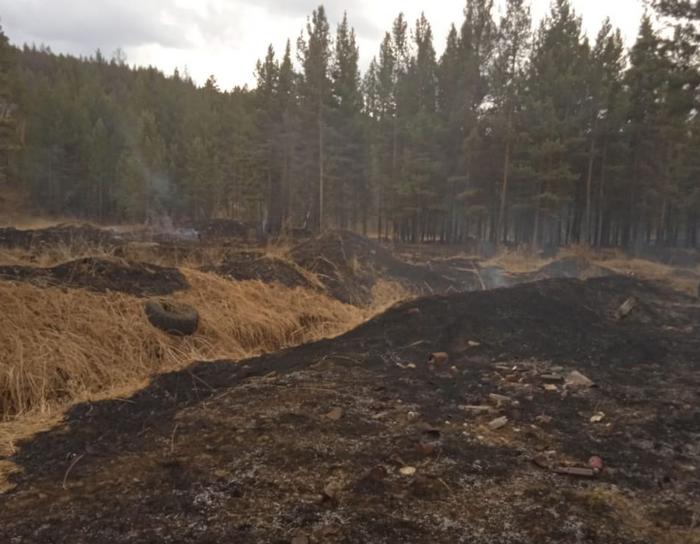 Лесной пожар потушили в Заиграевском районе Бурятии
