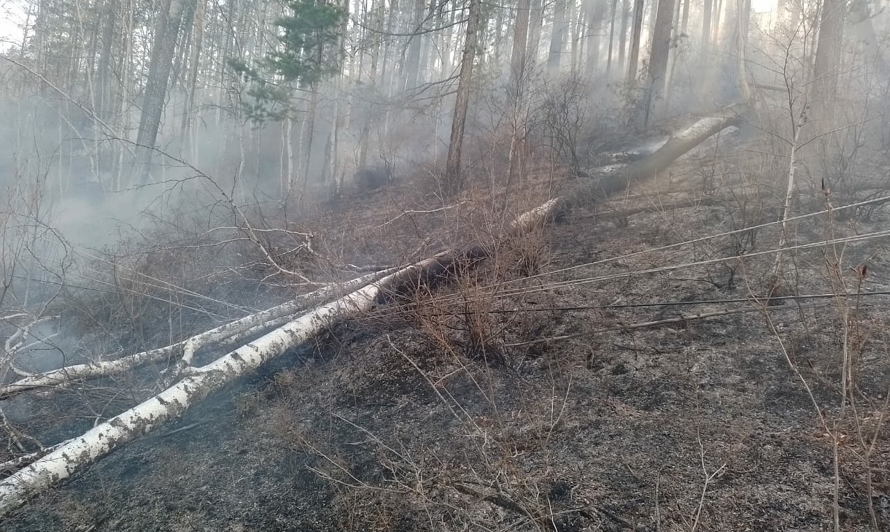 В Бурятии тушили лесной пожар, возникший из-за повреждения ЛЭП