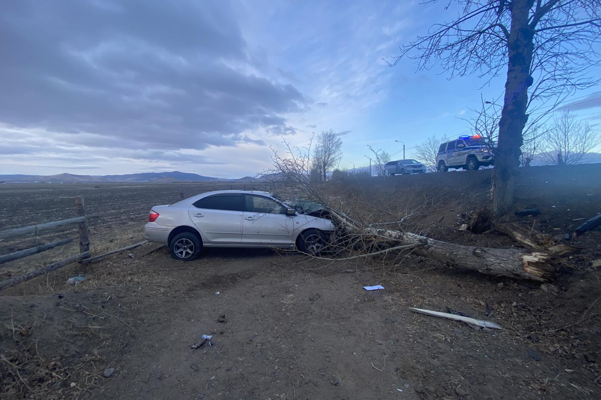 Водитель «Тойоты» в Бурятии съехал с дороги и врезался в дерево 
