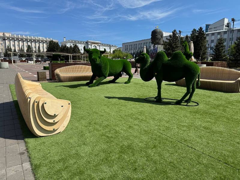 Мэр Улан-Удэ поручил пылесосить газон на площади Советов