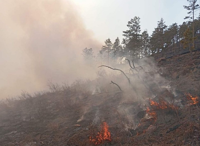 В Бурятии начались первые лесные пожары 