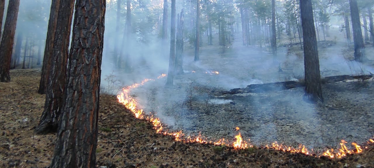 В Бурятии тушат 4 лесных пожара