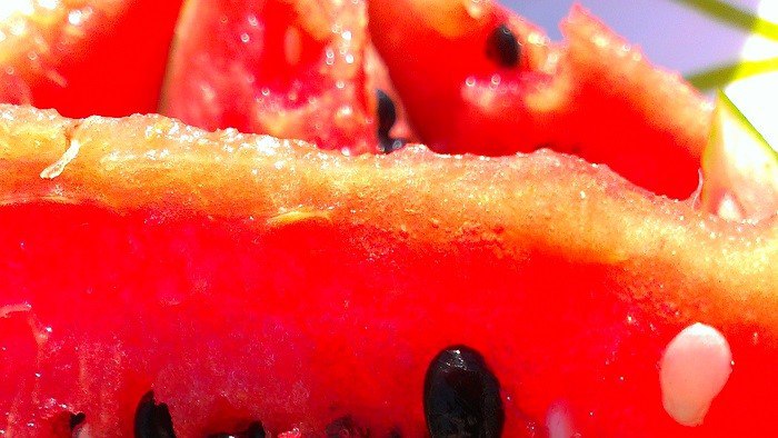 Оронгойские арбузы и дыни порадуют жителей Бурятии в августе