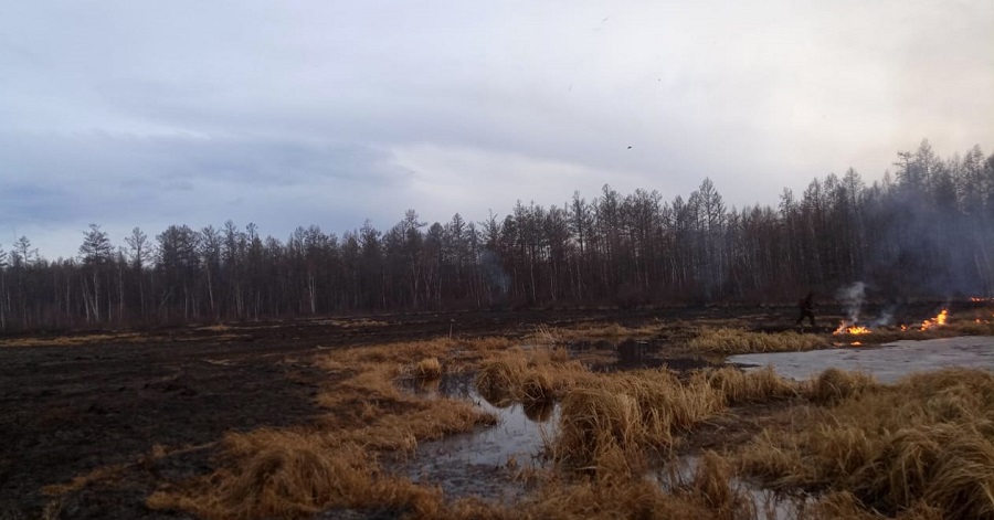 В Бурятии действуют два лесных пожара