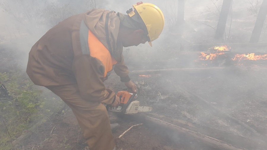 В Бурятии потушили пять лесных пожаров