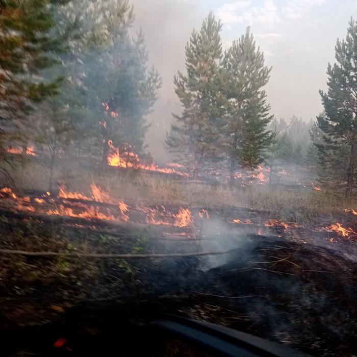 Лесных пожаров Бурятии стало больше из-за сухой грозы